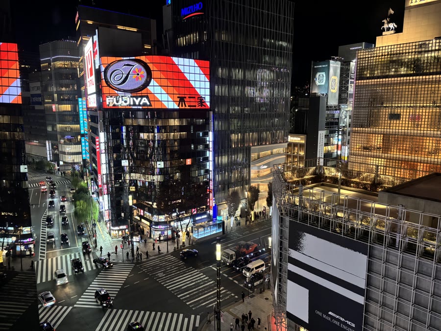 Ginza shopping district
