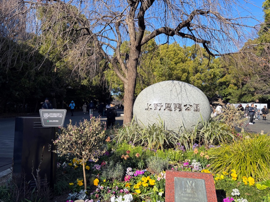 Ueno Park neighborhood context